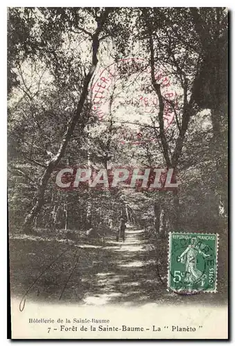 Cartes postales Foret de la Sainte Baume La Planeto