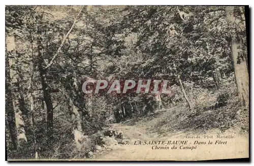 Cartes postales La Sainte Baume Dans la Foret Chemin du Canape