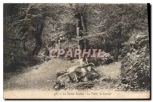 Cartes postales La Sainte Baume La Foret le Canape