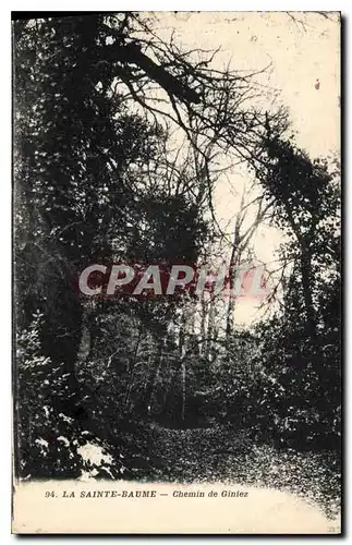 Cartes postales La Sainte Baume Chemin de Giniez