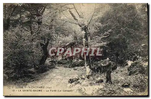 Cartes postales La Sainte Baume La Foret Le Canape