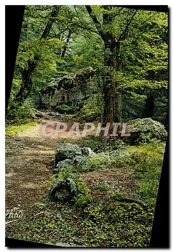 Cartes postales La Sainte Baume Le Canape