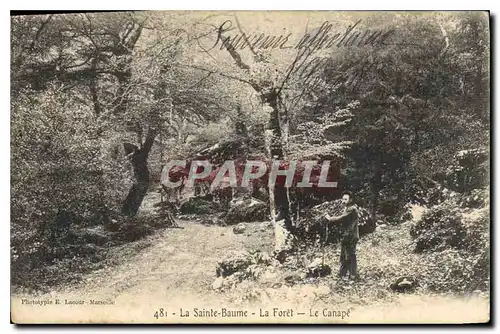 Cartes postales La Sainte Baume La Foret Le Canape