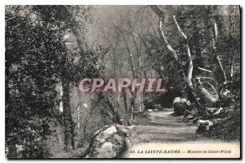 Cartes postales La Sainte Baume Montee du Saint Pilon