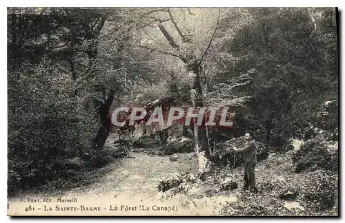 Cartes postales La Sainte Baume La Foret Le Canape