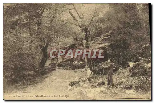 Cartes postales Foret de la Ste Baume Le Canape