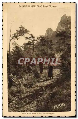 Cartes postales Sainte Baume Plan d'Aups Var