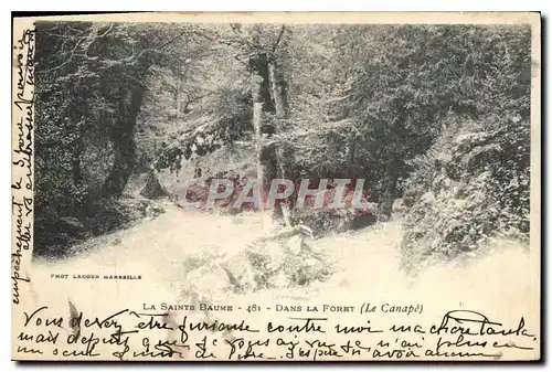 Cartes postales La Sainte Baume Dans la Foret Le Canape