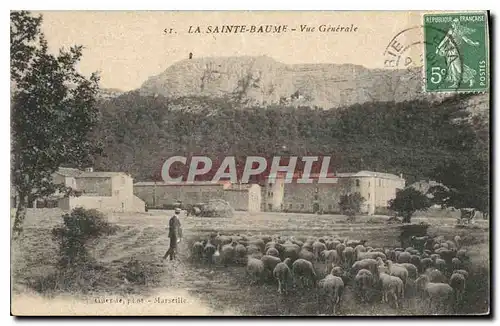 Cartes postales La Sainte Baume Vue Generale Berger Moutons