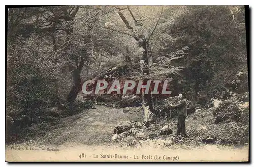 Ansichtskarte AK La Sainte Baume La Foret Le Canape