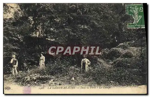 Cartes postales La Sainte Baume Dans la Foret Le Canape