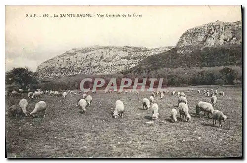 Ansichtskarte AK La Sainte Baume Vue Generale de la Foret Moutons