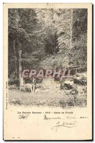 Cartes postales La Sainte Baume Dans la Foret