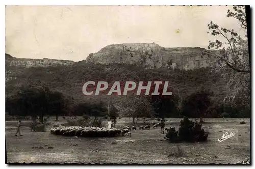 Ansichtskarte AK La Sainte Baume Var Vue generale Foret Moutons