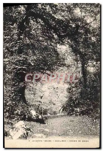 Ansichtskarte AK La Sainte Baume Sous Bois Chemin de Giniez