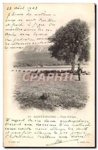 Cartes postales Sainte Baume Plan d'Aups Berger Moutons