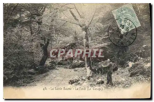 Cartes postales La Sainte Baume La Foret Le Canape