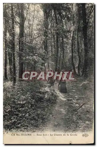 Ansichtskarte AK La Ste Baume Sous bois Le Chemin de la Grotte