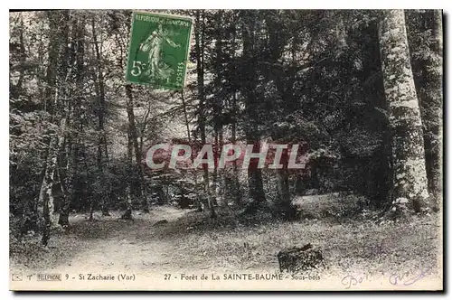 Ansichtskarte AK Foret de la Sainte Baume Sous bois