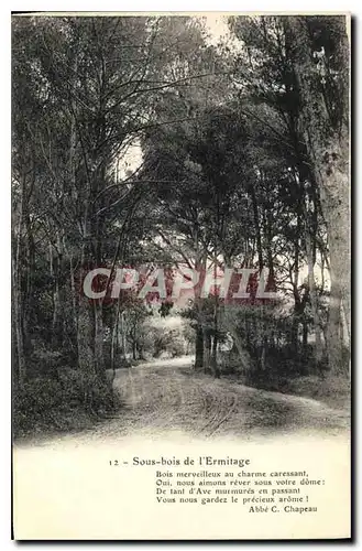 Cartes postales Sous bois de l'Ermitage