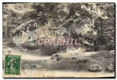 Cartes postales Foret de la Sainte Baume