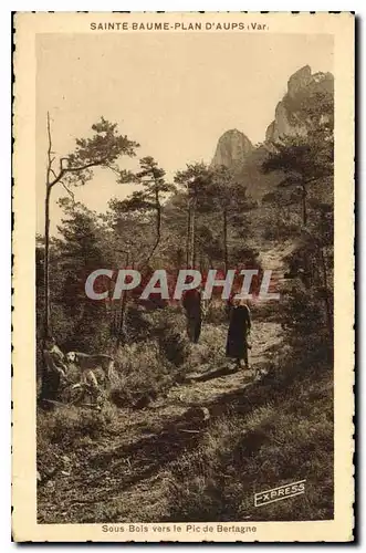 Ansichtskarte AK Sainte Baume Plan d'Aups Var Sous Bois vers le Pic de Bretagne