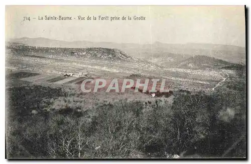 Cartes postales La Sainte Baume Vue de la Foret prise de la Grotte