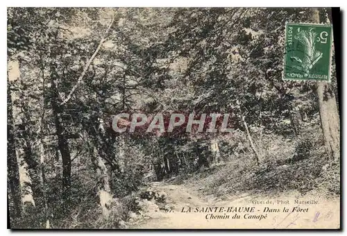 Cartes postales La Sainte Baume Dans la Foret Chemin du Canape