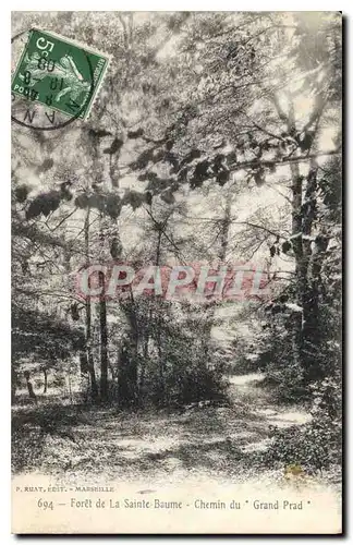 Cartes postales Foret de la Sainte Baume Chemin du Grand Prad