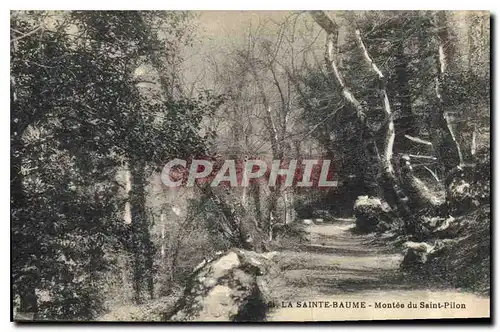 Cartes postales La Sainte Baume Montee du Saint Pilon