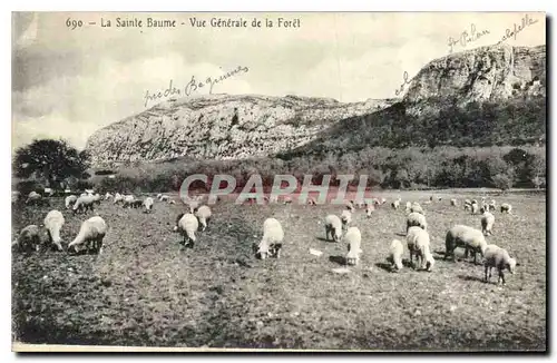 Ansichtskarte AK La Sainte Baume Vue Generale de la Foret