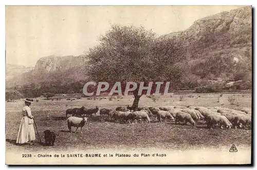 Cartes postales Chaine de la Sainte Baume et le Plateau du Plan d'Aups Moutons