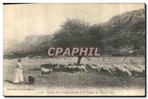 Cartes postales Chaine de la Sainte Baume et le Plateau du Plan d'Aups Moutons