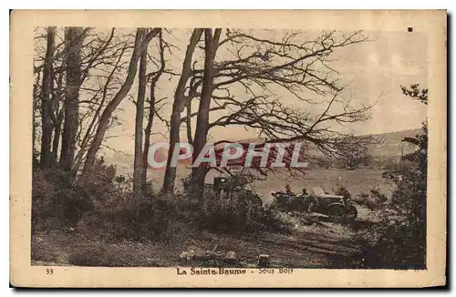 Cartes postales La Sainte Baume Sous Bois