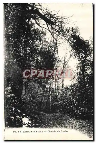 Cartes postales La Sainte Baume Chemin de Giniez