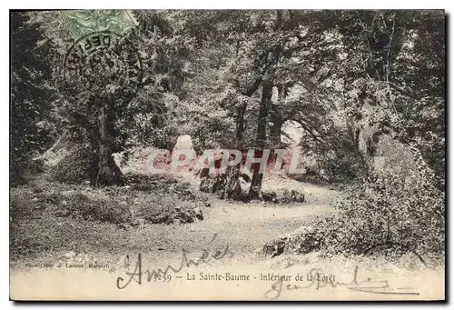 Cartes postales La Sainte Baume Interieur de la Foret