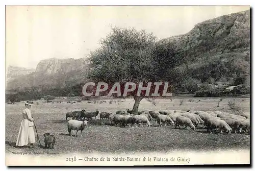 Cartes postales Chaine de la Sainte Baume et le Plateau de Giniez Moutons