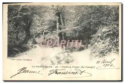 Cartes postales La Sainte Baume Dans la Foret Le Canape