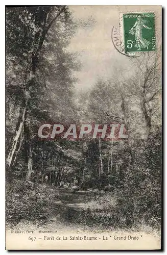 Cartes postales Foret de la Sainte Baume Le Grand Draio