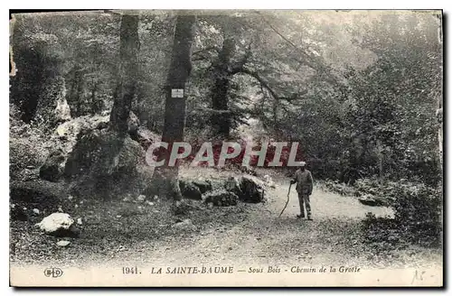 Cartes postales La Sainte Baume Sous Bois de la Grotte