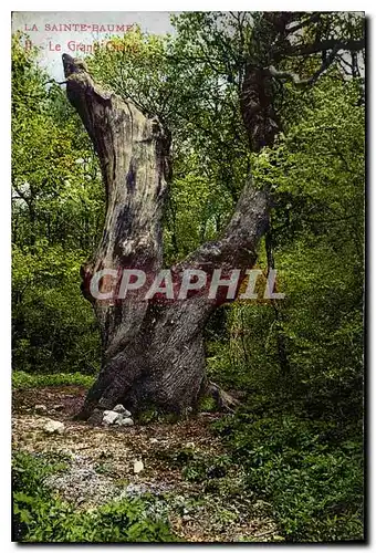 Cartes postales La Sainte Baume Le Grand Grotte