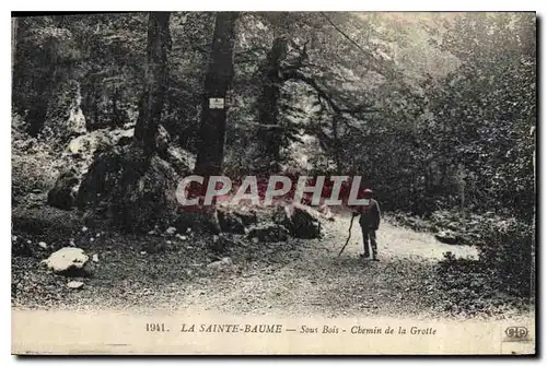 Ansichtskarte AK La Sainte Baume Sous Bois Chemin de la Grotte