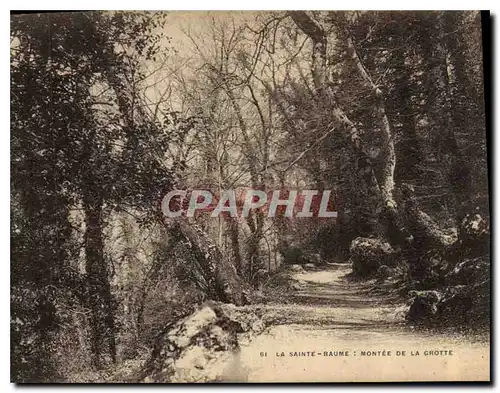 Cartes postales La Sainte Baume Montee de la Grotte