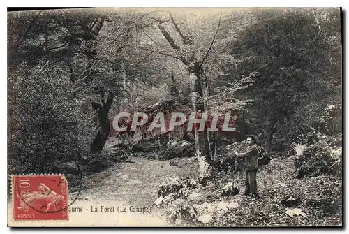 Cartes postales La Sainte Baume La Foret Le Canape