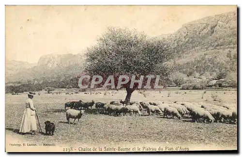 Cartes postales Chaine de la Sainte Baume et le Plateau du Plan d'Aups