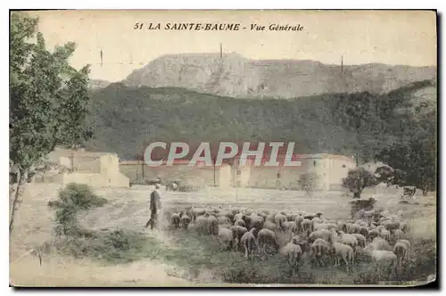 Ansichtskarte AK La Sainte Baume Vue Generale Moutons