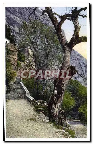 Cartes postales Hottelerie de la Sainte Baume St Zacharie Var