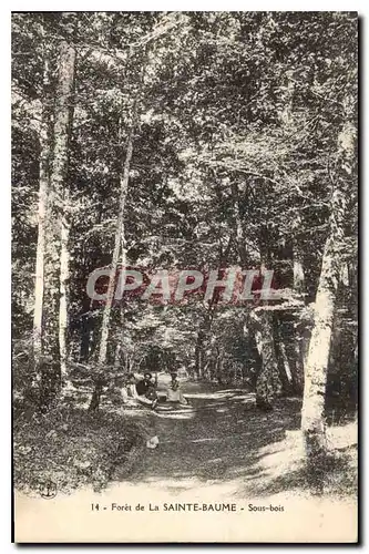 Ansichtskarte AK Foret de la Sainte Baume Sous bois