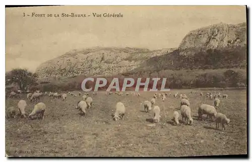 Cartes postales Foret de la Ste Baume Vue Generale