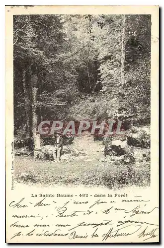 Cartes postales La Sainte Baume dans la Foret